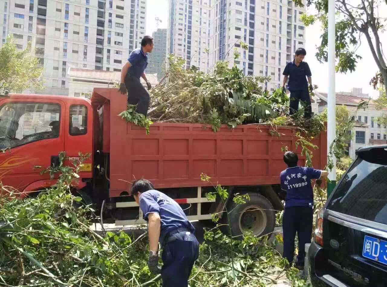 廈門家政公司接力災后重建義工活動