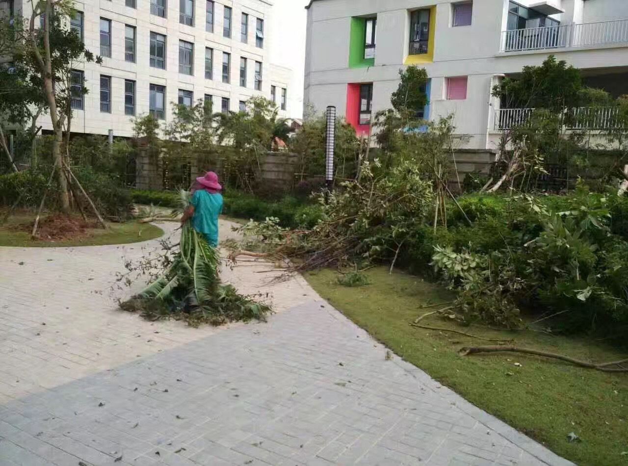 廈門家政公司接力災后重建義工活動