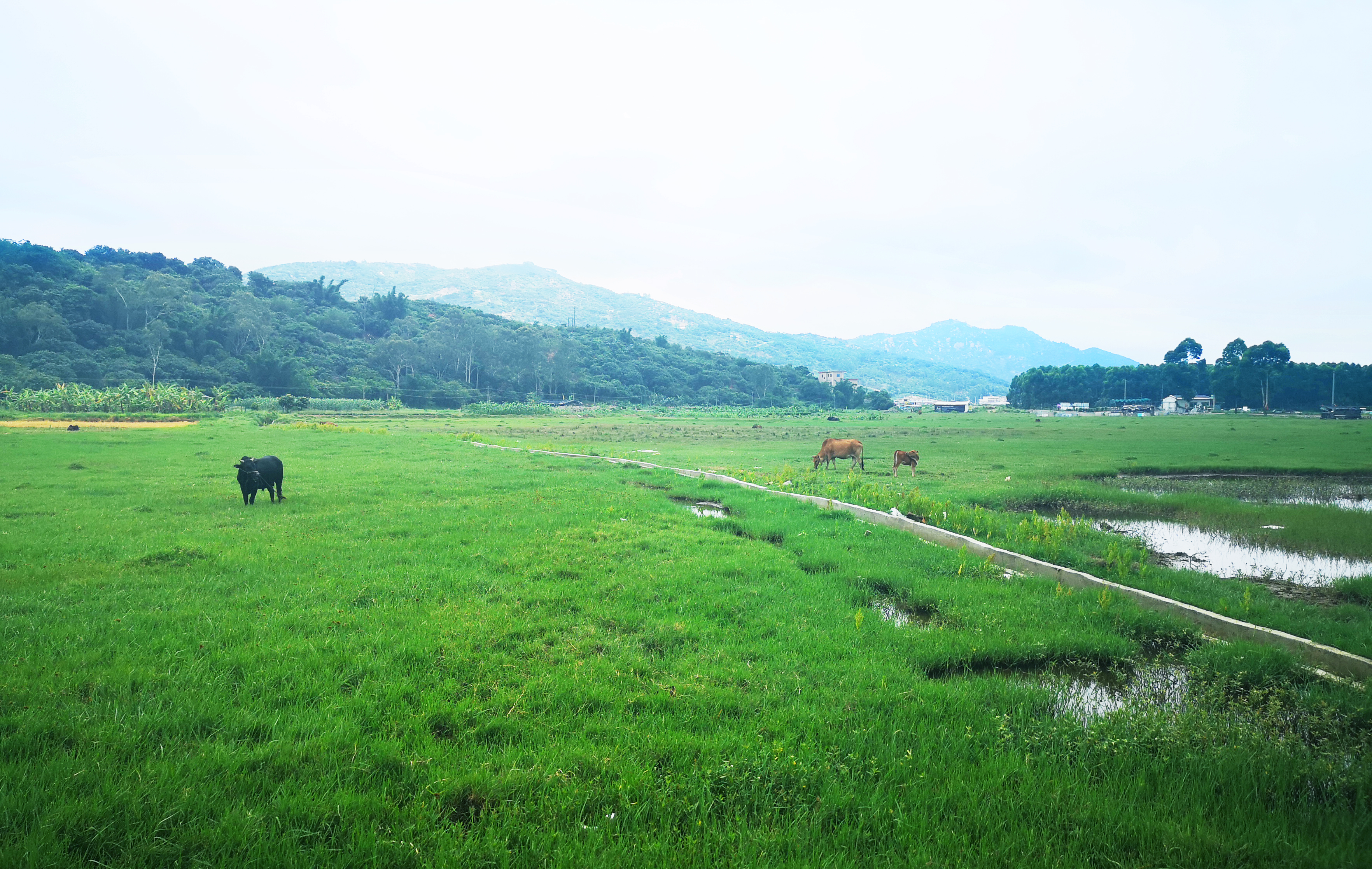 ���؄e��Ϣ���@�ε��ի@�H�S����ȸ���H�ӻ��(d��ng)�����Y(ji��)������