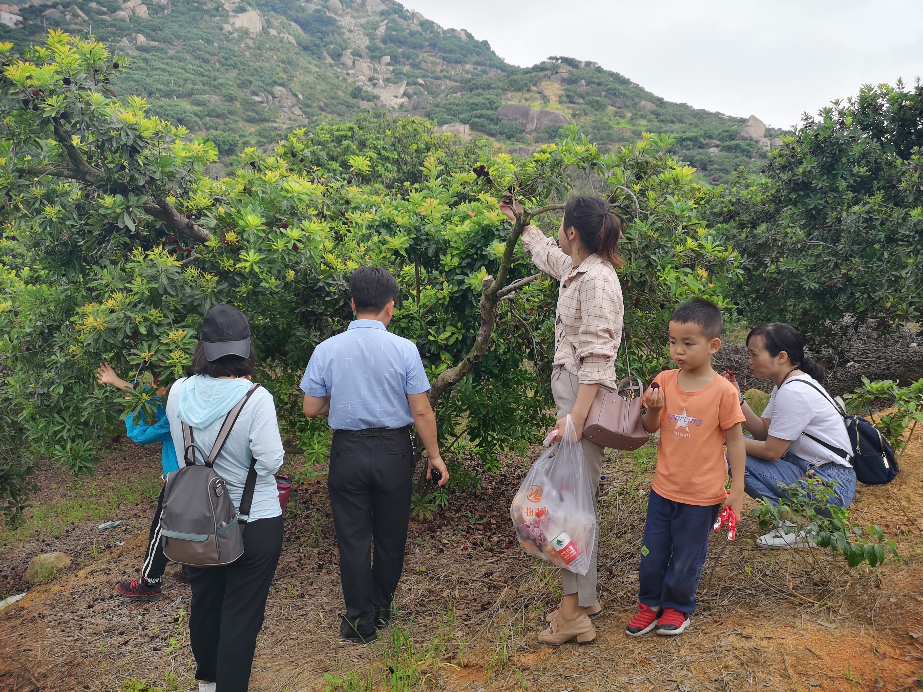 ���؄e��Ϣ���@�ε��ի@�H�S����ȸ���H�ӻ��(d��ng)�����Y(ji��)������